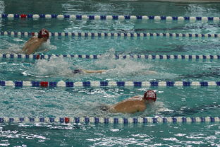 MILAN体育APP下载入口官网-亚洲游泳冠军赛孙杨携队友力夺接力金,中国游泳冠军孙扬